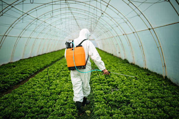 Best Pest Control Near Me  in Eden, TX