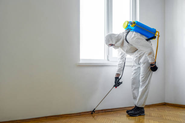 Best Emergency Pest Control  in Eden, TX