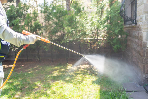 Best Ant Control Services  in Eden, TX