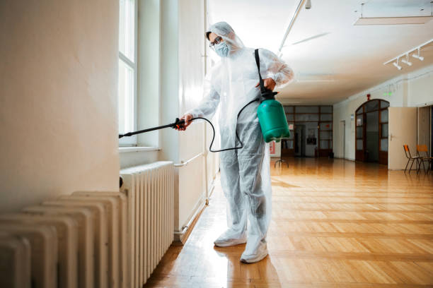 Best Wasp Removal Services  in Eden, TX